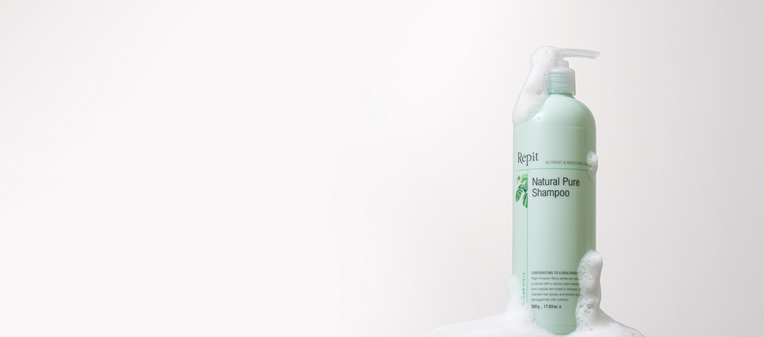 Repit USA